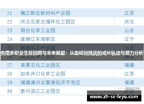 费南多职业生涯回顾与未来展望：从巅峰到挑战的成长轨迹与潜力分析
