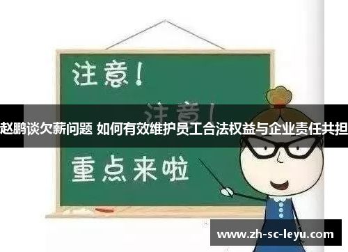 赵鹏谈欠薪问题 如何有效维护员工合法权益与企业责任共担