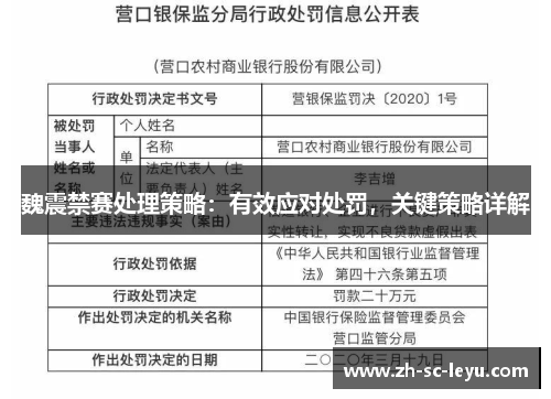 魏震禁赛处理策略：有效应对处罚，关键策略详解